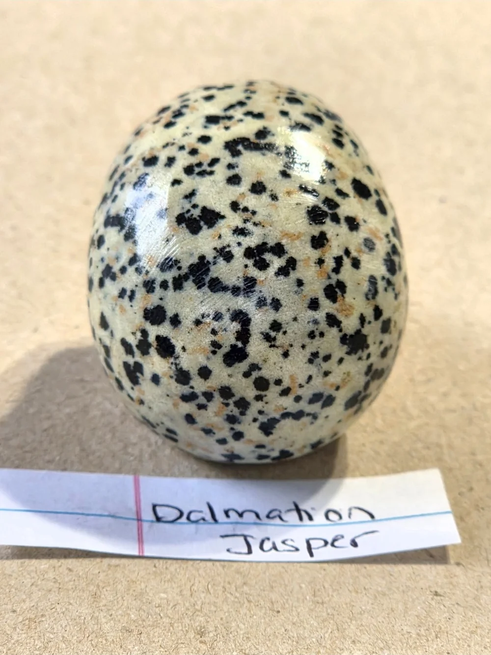 Detailed Dalmatian Jasper Crystal Carved Skull Stone Sculpture Decor